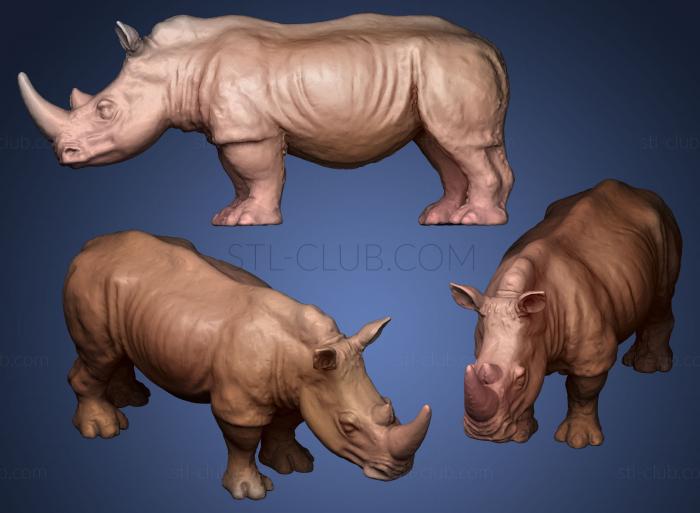 3D model rhinocerous (STL)
